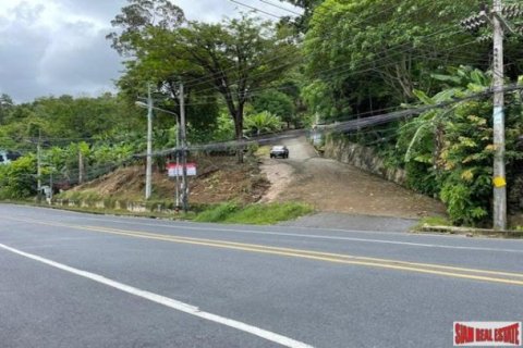 16000m² Land in Patong, Thailand No. 96097 5