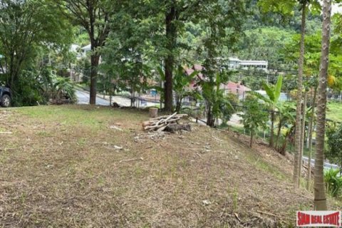 16000m² Land in Patong, Thailand No. 96097 3