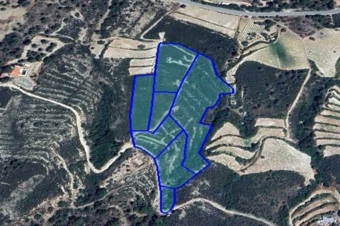 Commercial property in Trimiklini, Cyprus No. 64322 1