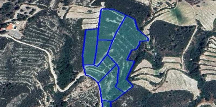 Commercial property in Trimiklini, Cyprus No. 64322