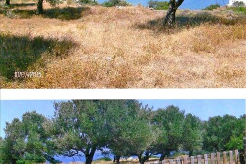 Земельный участок 13332м² в Сифнос, Греция №59590 1