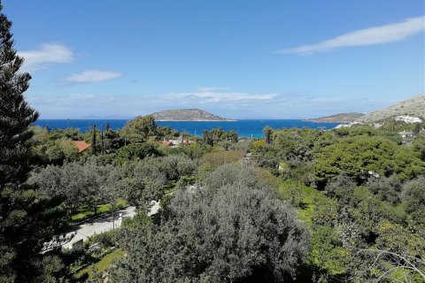 8 bedrooms House in Palaia Fokaia, Greece No. 58199 1