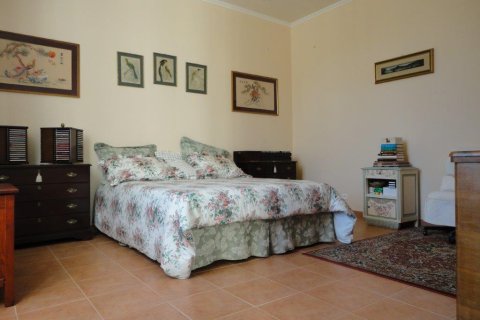 2 bedrooms House in Saint-Christoly-de-Blaye, France No. 69446 19