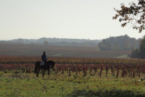 2 bedrooms House in Saint-Christoly-de-Blaye, France No. 69446 20