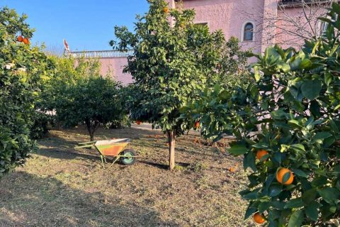 5 bedrooms Villa in Sha, Cyprus No. 101054 3