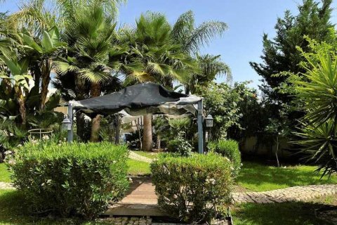 6 bedrooms House in Enkomi, Cyprus No. 101198 7