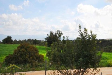 3 bedrooms Villa in Neo Chorio, Cyprus No. 39118 10