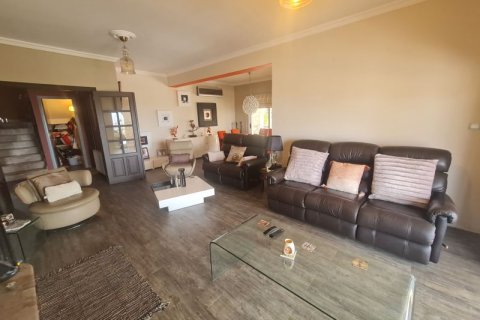 4 bedrooms House in Pano Arodes, Cyprus No. 36824 2