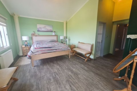 4 bedrooms House in Pano Arodes, Cyprus No. 36824 24