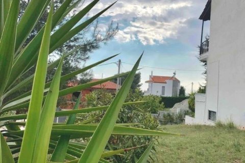 3 bedrooms Maisonette in Polygyros, Greece No. 54364 9