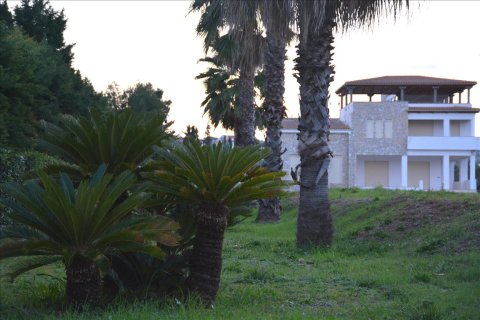 1200m² Villa in Euboea, Greece No. 58266 10