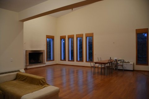 1200m² Villa in Euboea, Greece No. 58266 28