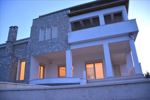 1200m² Villa in Euboea, Greece No. 58266 11
