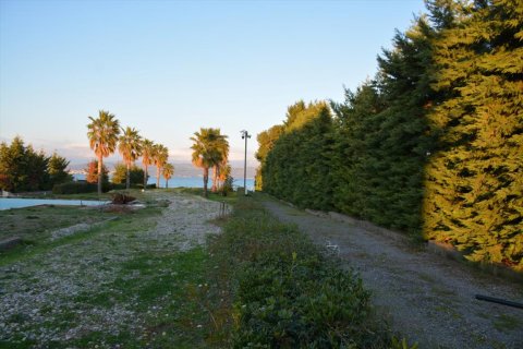 1200m² Villa in Euboea, Greece No. 58266 29