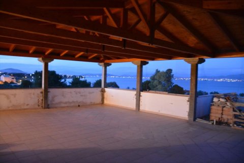 1200m² Villa in Euboea, Greece No. 58266 15