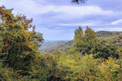 5 dormitorios House en Pedoulas, Cyprus No. 29891 1