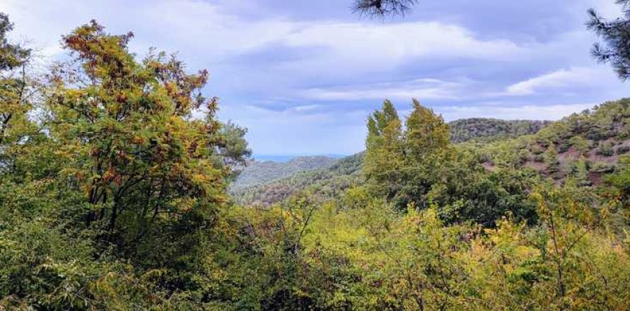 5 dormitorios House en Pedoulas, Cyprus No. 29891