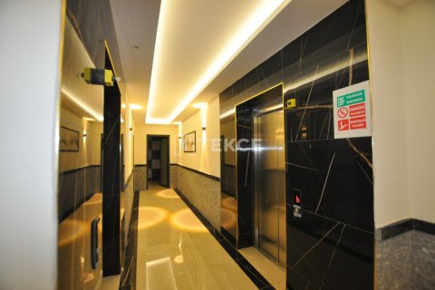 3 chambres Penthouse à Chau Lang, Vietnam No. 70494 8