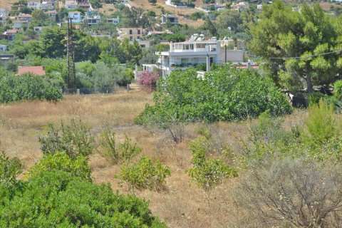 7000m² Land à Kalyvia Thorikou, Greece No. 60236 7
