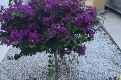 3 bedrooms Villa in Konia, Cyprus No. 84064 12