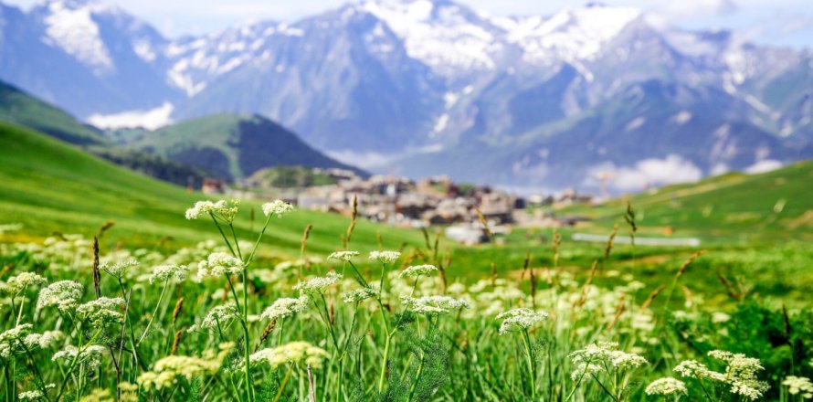 3 chambres Appartement à Huez, France No. 99686