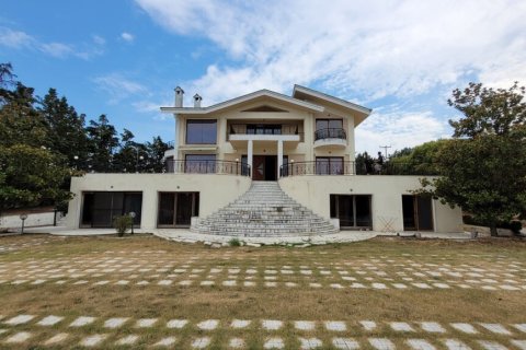 Вилла с 7 спальнями в Терми, Греция №107695 30