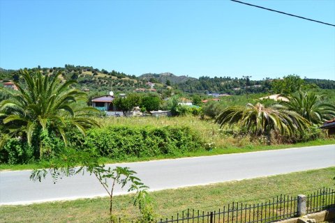 11 rooms Hotel in Chalkidiki, Greece No. 60611 19