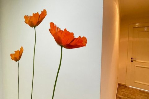 2 dormitorios Apartment en Phong Thanh Tay A, Vietnam No. 16145 2