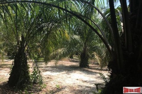 153600m² Land in Phang Nga, Thailand No. 95993 3