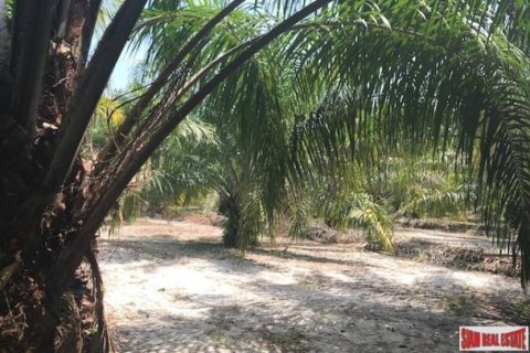 153600m² Land in Phang Nga, Thailand No. 95993 2