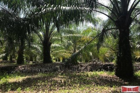 153600m² Land in Phang Nga, Thailand No. 95993 6