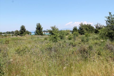1898m² Land in Chalkidiki, Greece No. 60381 6