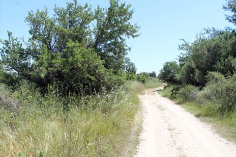 1898m² Land in Chalkidiki, Greece No. 60381 1