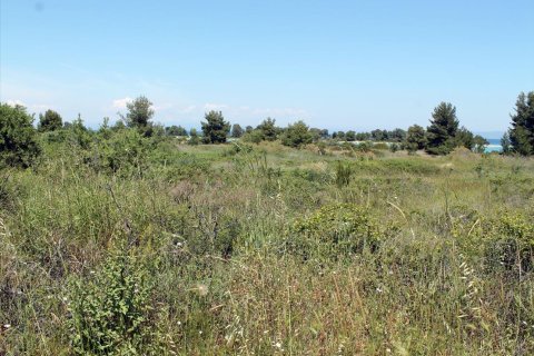 1898m² Land in Chalkidiki, Greece No. 60381 5