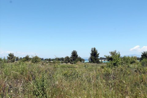 1898m² Land in Chalkidiki, Greece No. 60381 2
