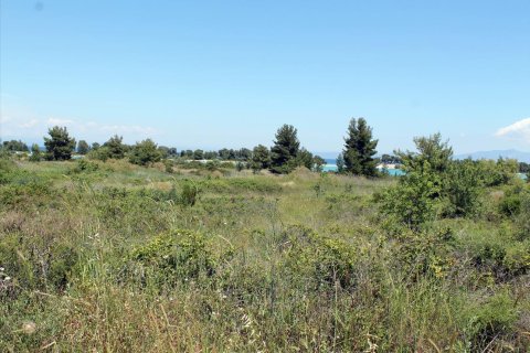 1898m² Land in Chalkidiki, Greece No. 60381 4
