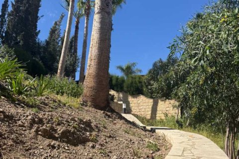 5 chambres Villa à Moni, Cyprus No. 100328 5