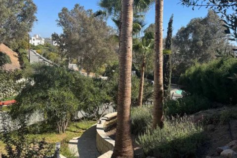 5 chambres Villa à Moni, Cyprus No. 100328 7