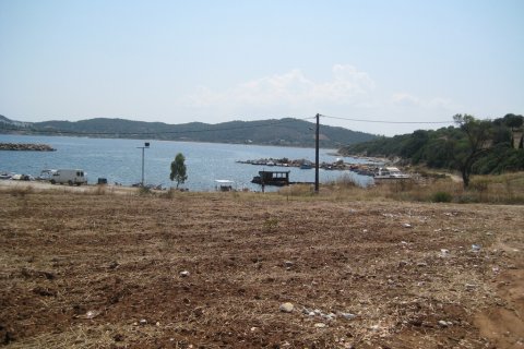 1360m² Land in Chalkidiki, Greece No. 108404 4