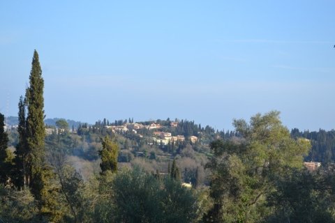 13500m² Land in Corfu, Greece No. 59817 2