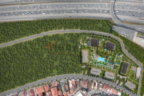 2 bedrooms Apartment in Bach Long Vi, Vietnam No. 17860 6