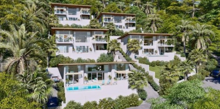 4 bedrooms Villa in Tha Chang, Thailand No. 97077