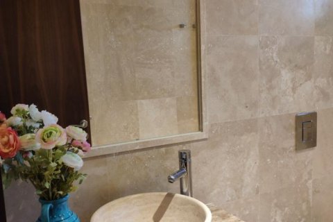 3 bedrooms Penthouse in Nong Ha, Vietnam No. 16065 23