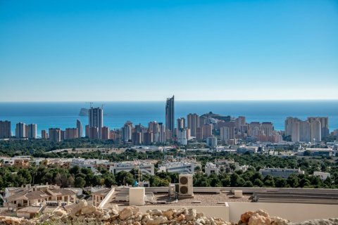 Вилла с 4 спальнями в Long Dinh, Вьетнам №83799 11