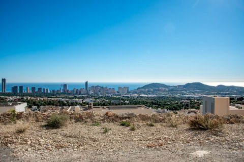 Вилла с 4 спальнями в Long Dinh, Вьетнам №83799 18