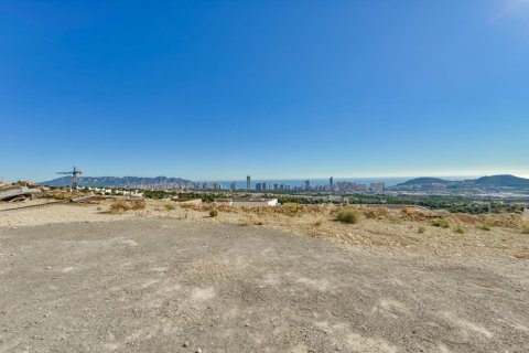 Вилла с 4 спальнями в Long Dinh, Вьетнам №83799 14