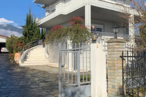 Дом с 4 спальнями в Пиерия, Греция №123360 2