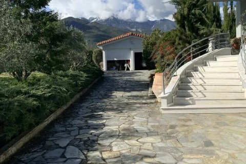 Дом с 4 спальнями в Пиерия, Греция №123360 25