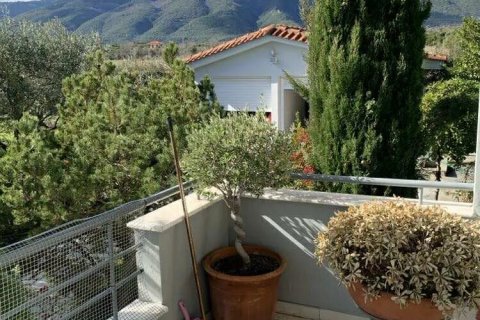 Дом с 4 спальнями в Пиерия, Греция №123360 17