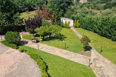 3 chambres House à Corfu, Greece No. 59047 25